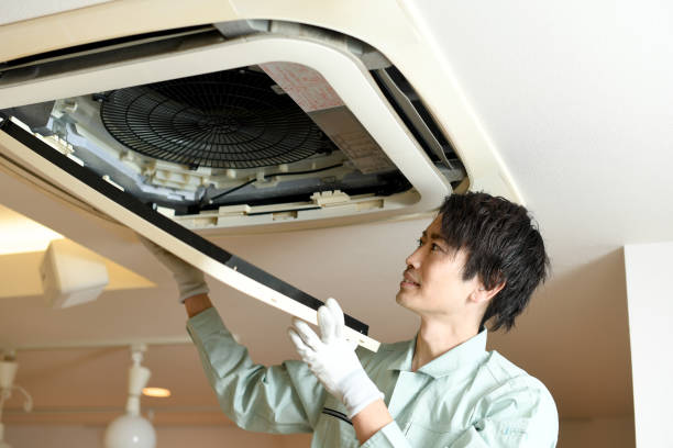 Best Air Vent Cleaning Services  in Williamston, SC